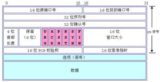 TCP报头